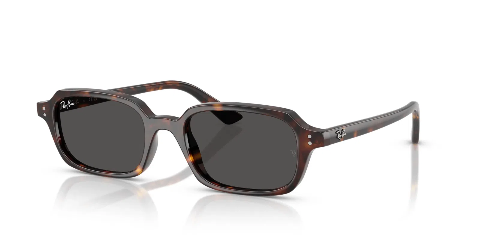 Ray-Ban Zuri 4455F Sunglasses - view 6